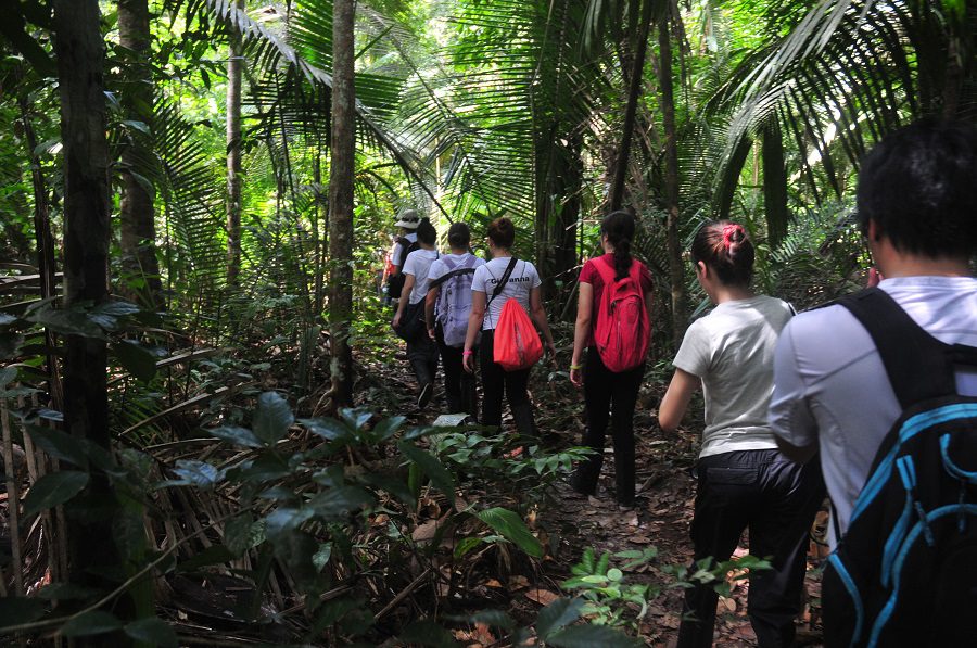 Juma Amazon Lodge caminhada na floresta 2