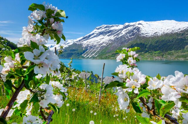 Primavera na Noruega: descubra as melhores atividades para aproveitar a estação no paí­s