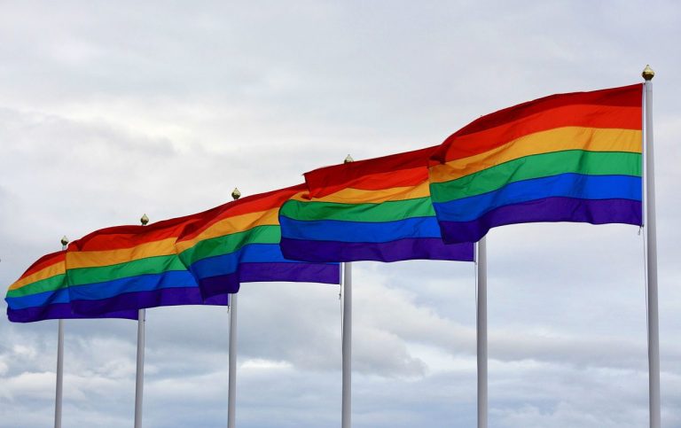 Dicas de viagem para a semana da Parada LGBTQ+ em São Paulo e outros destinos
