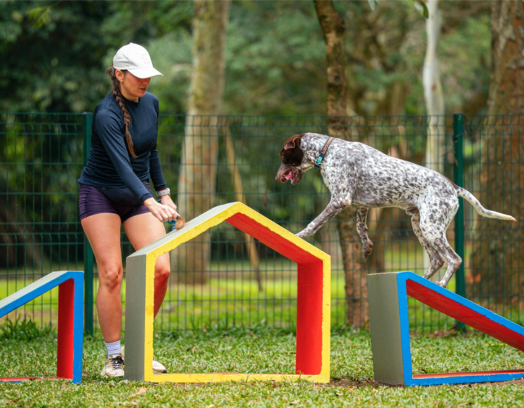 Com entrada gratuita, primeira edição do Festival Pet acontece no início das férias de julho